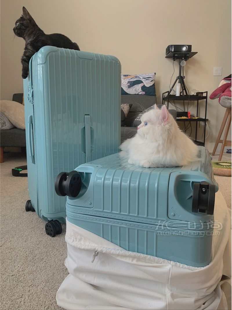 Rimowa冰川藍(lán) Trunk Plus-RIMOWA怎么樣_5