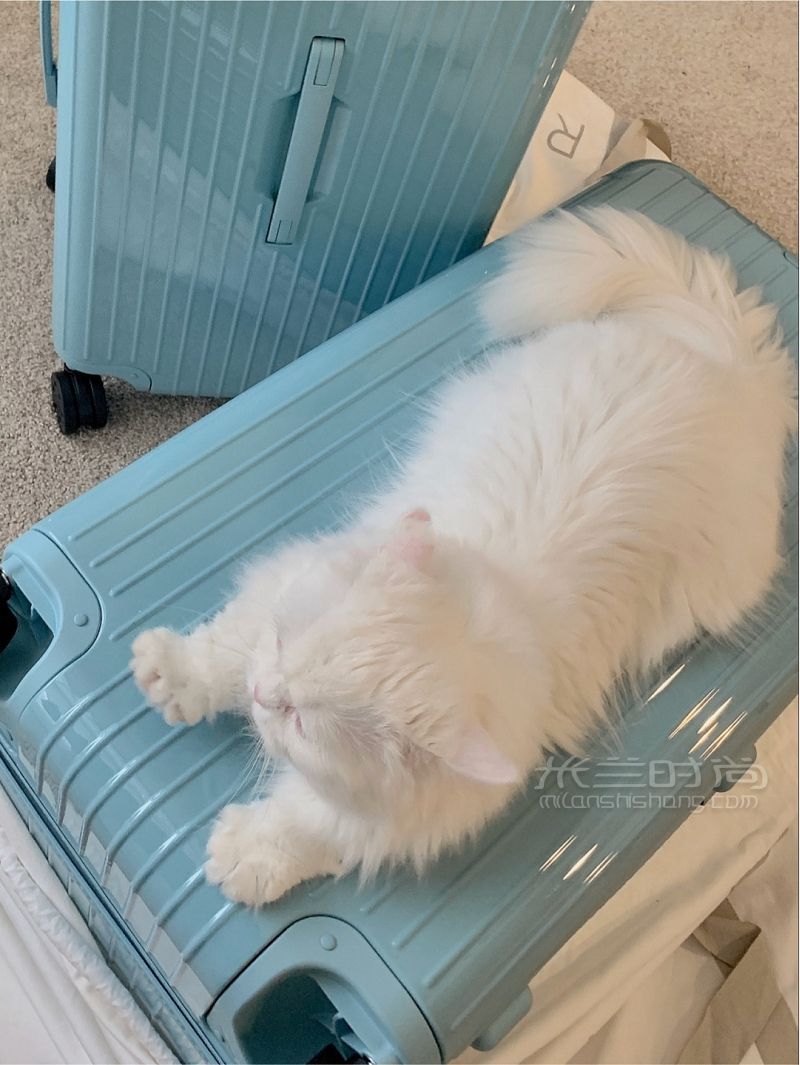 Rimowa冰川藍(lán) Trunk Plus-RIMOWA怎么樣_3