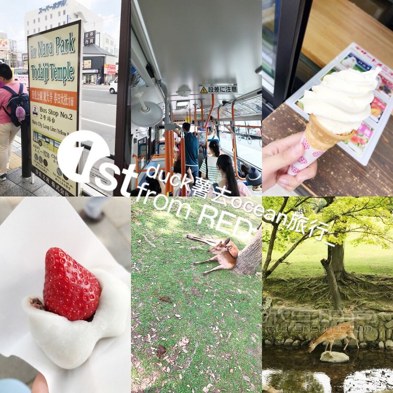 第5次日本大阪 奈良詳細(xì)攻略_5