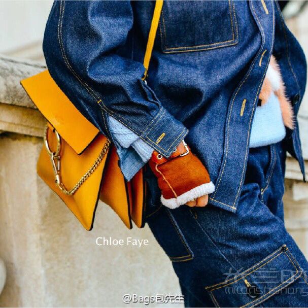 Chloe拼色包包 高圓圓街拍同款_4