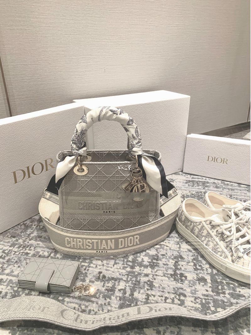 Dior2020灰色帆布戴妃包怎么樣？掉入大象灰陷阱_1