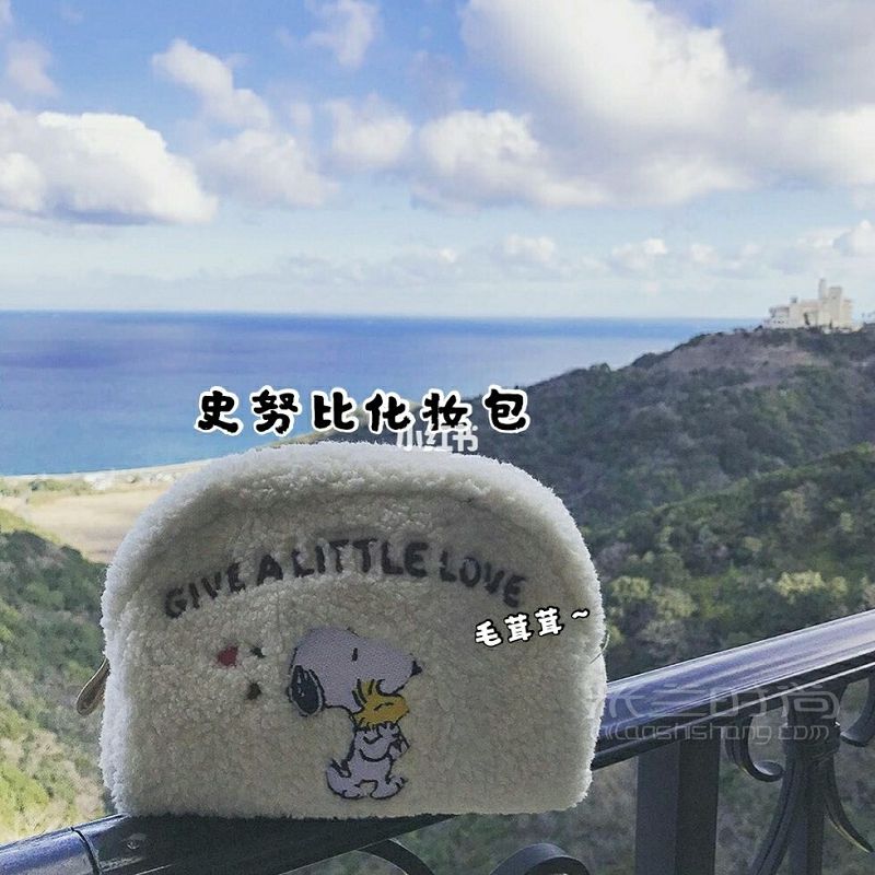平平無奇的包袋收集 化妝包宜家怎么樣_6