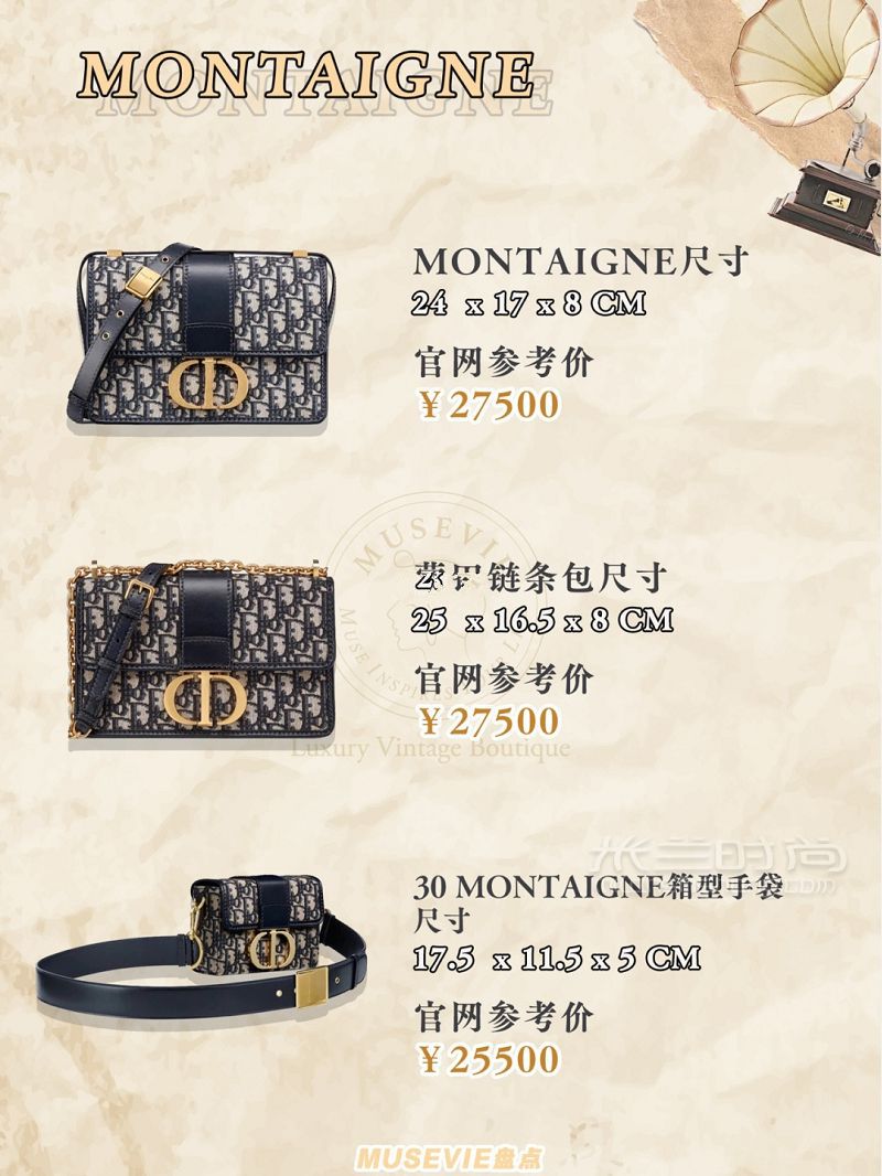 一套圖帶你了解雙十一迪奧剁手指南-托特-馬鞍包-m_3