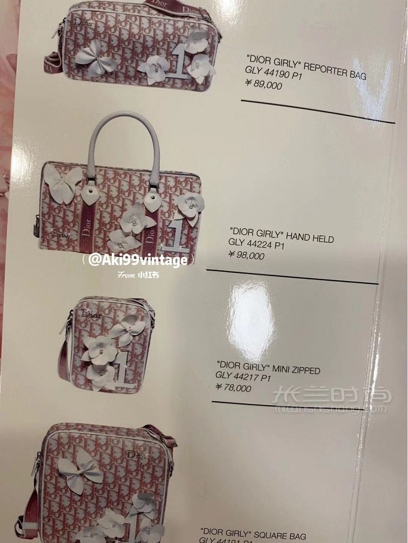 我的100只中古包12 Dior蝴蝶鉆鎖波士頓_5