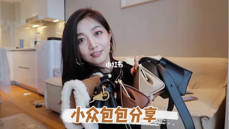小眾包包分享百搭通勤輕奢晚宴包_1