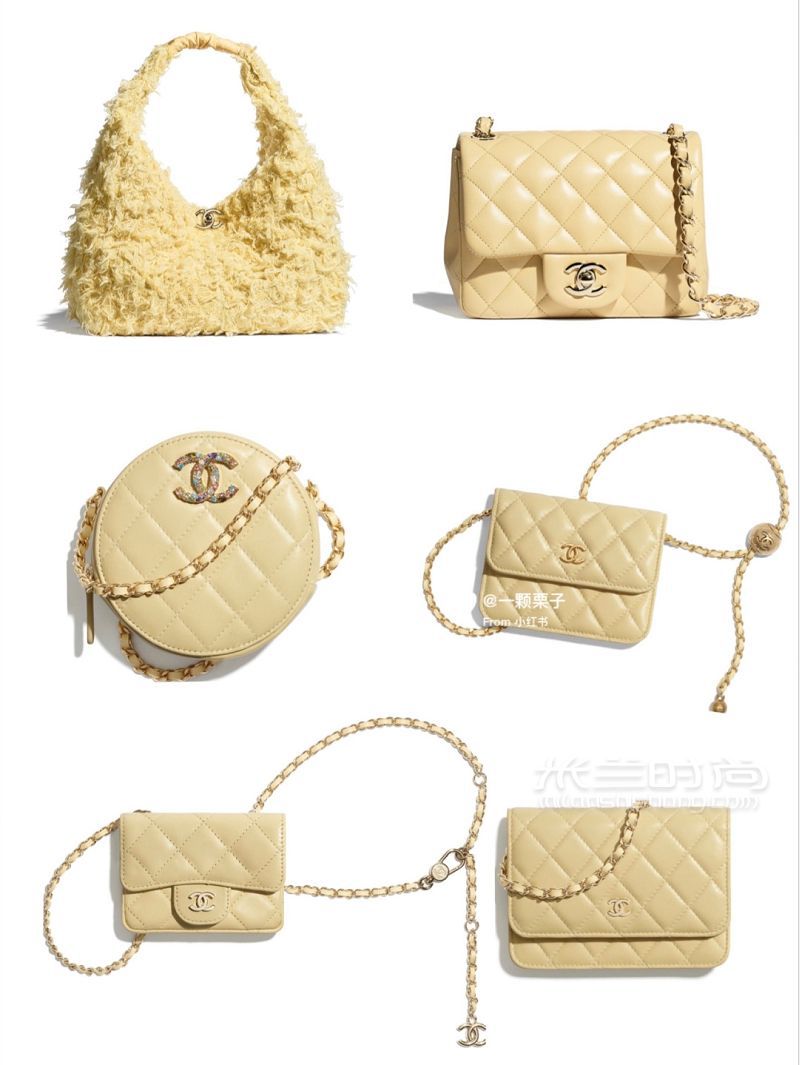 首發(fā) CHANEL2021早春系列新款包包來嘍_6