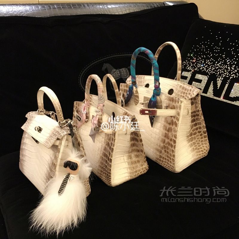 Hermes 愛馬仕himalaya 喜馬拉雅Birkin25 30 and Kelly25_1