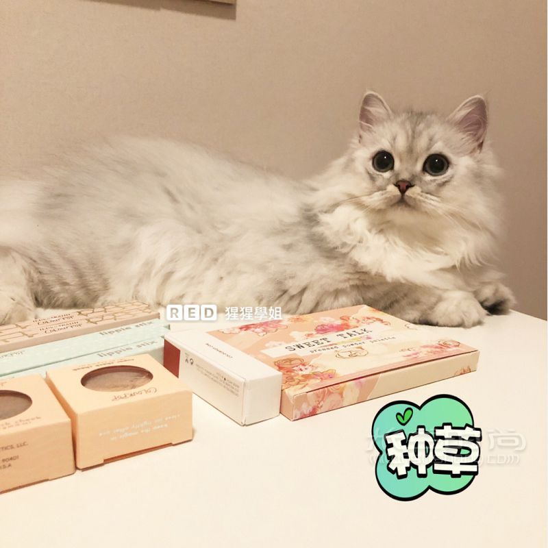Colourpop官網(wǎng)攻略 海淘十天包稅到手保姆教程_7
