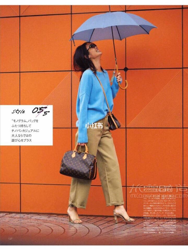 LV Speedy奢侈包 LV必入經(jīng)典枕頭包_1
