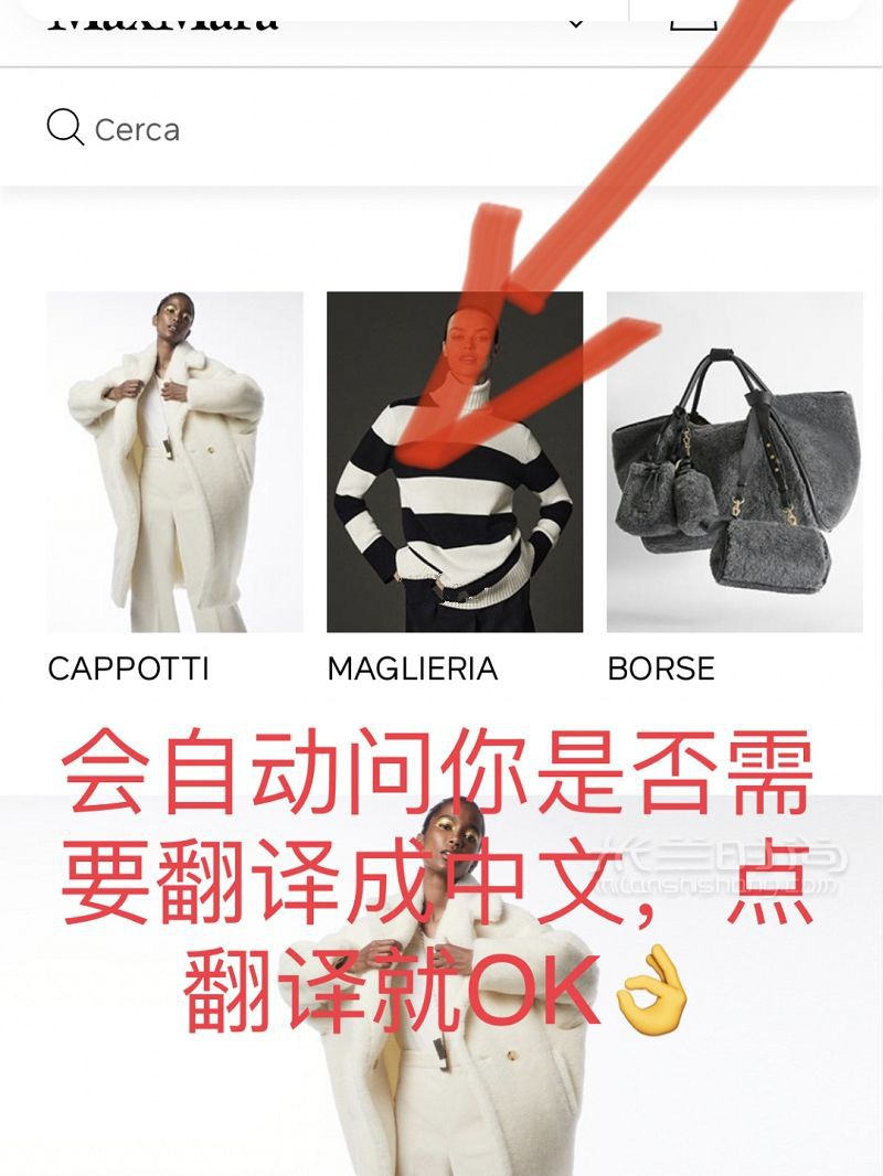 Maxmara官網(wǎng)秒變中文 不會英語也能買買買_6