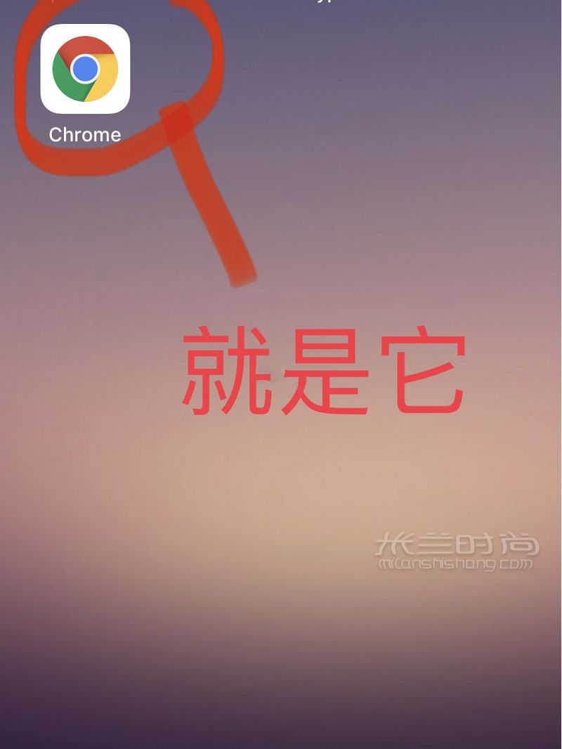 Maxmara官網(wǎng)秒變中文 不會英語也能買買買_5