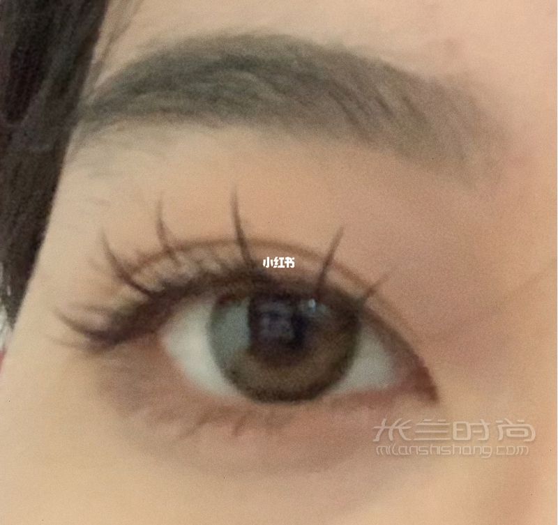 睫毛-婷美怎么樣_1