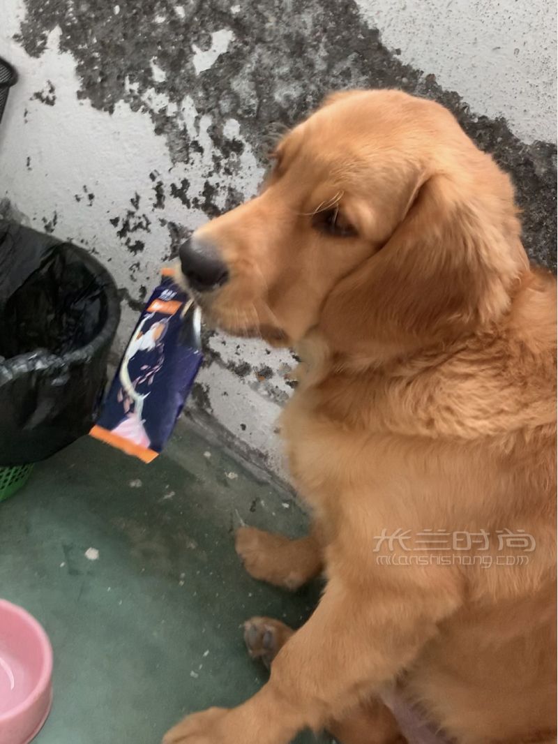 昨天才到的買阿瑪尼口紅送的包還有其他的！_2