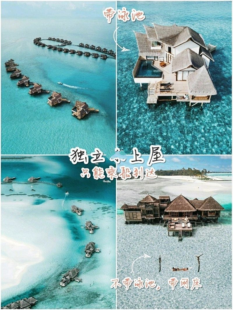 去馬爾代夫?yàn)槭裁匆欢ㄒ∷衔?大部分人不知道這些_6