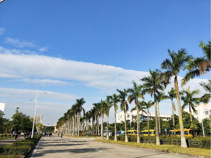 英語(yǔ) 法語(yǔ)名 蘇格蘭植樹(shù)節(jié)去哪玩_8