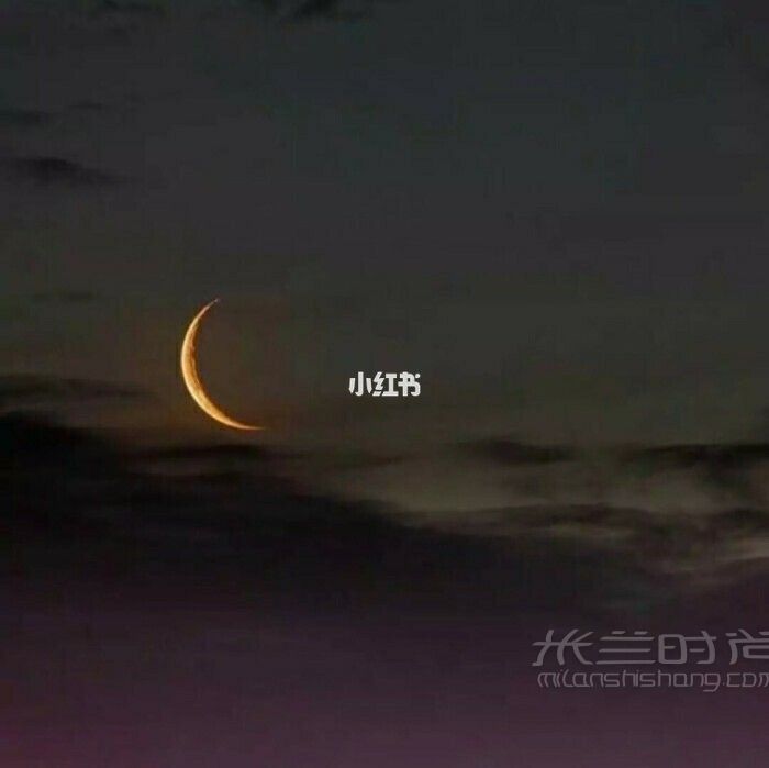 【文案句子】【星星月亮宇宙的溫柔句子】_5