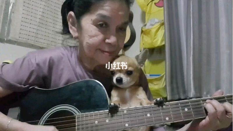 超酷泰國老奶奶吉他彈唱《HeyJude》_1