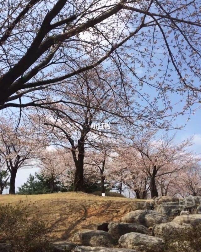 去韓國(guó)玩 防踩坑大全 首爾弘大旅行攻略_4
