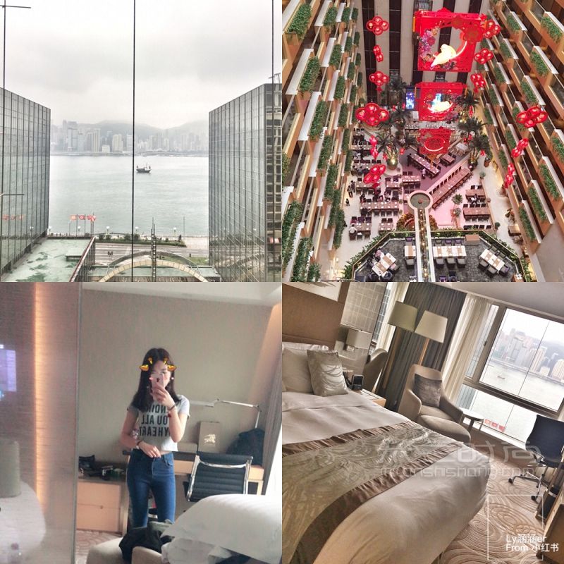 香港7天6晚自由行攻略 尖沙咀旺角銅鑼灣茶餐廳盤點_5