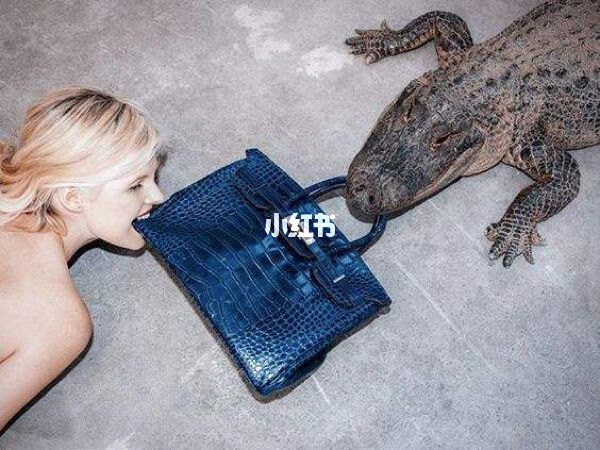 為何愛馬仕Birkin喜馬拉雅如此珍貴稀少_1